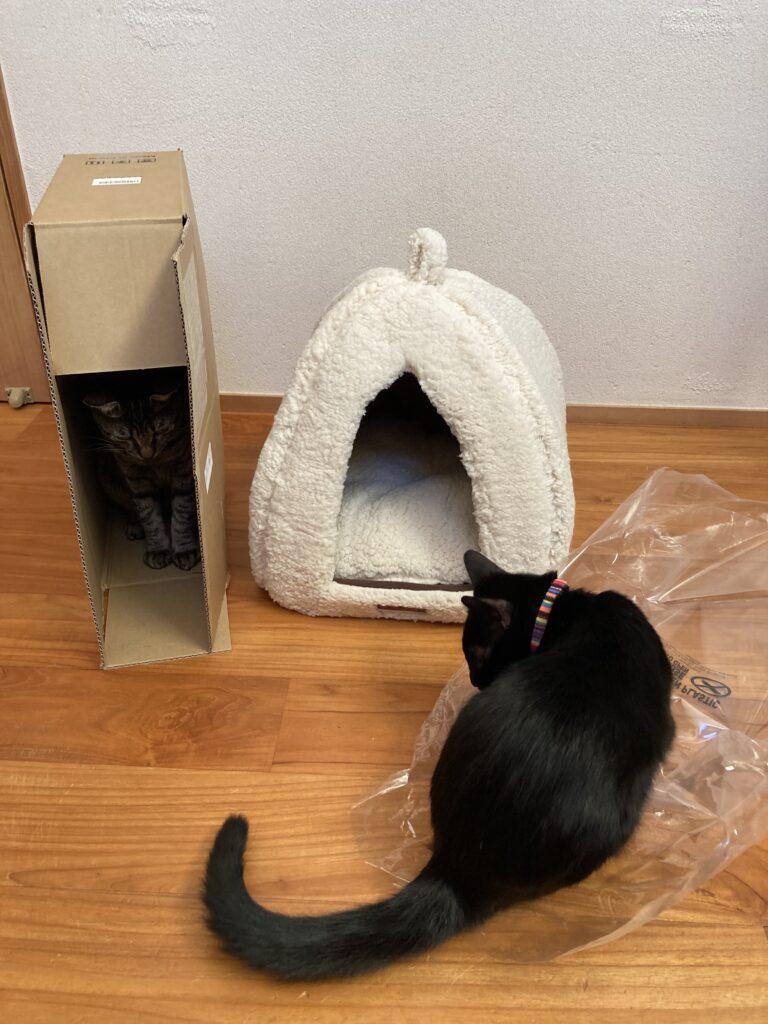 にゃんドームの袋。