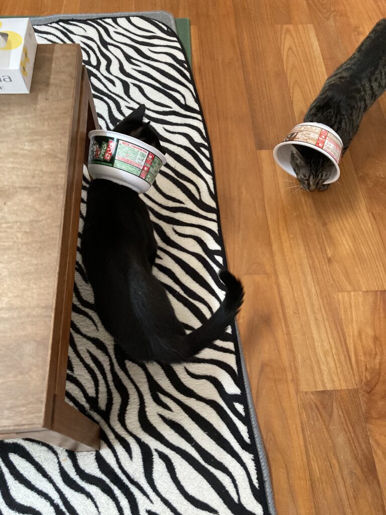 エリザベスどん兵衛